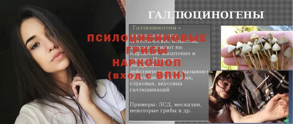 прущая мука Абаза