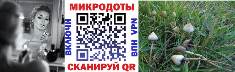 Галлюциногенные грибы мицелий  Домодедово 