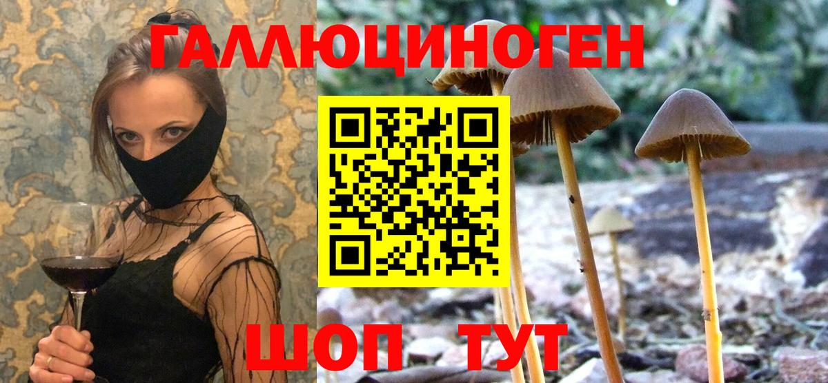 Псилоцибиновые грибы мухоморы Домодедово